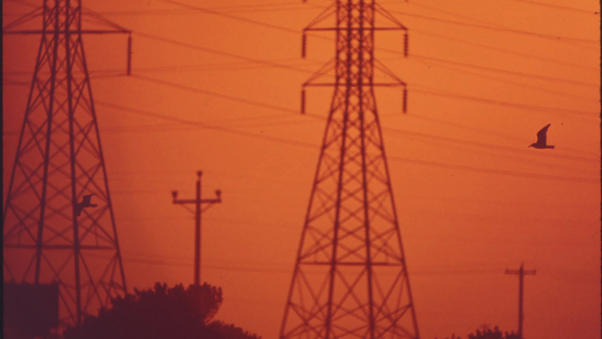 Zdjęcie ilustracyjne do artykułu: Aukcje OZE 2026: siedem sesji w listopadzie. Do wsparcia ponad 76 TWh zielonej energii